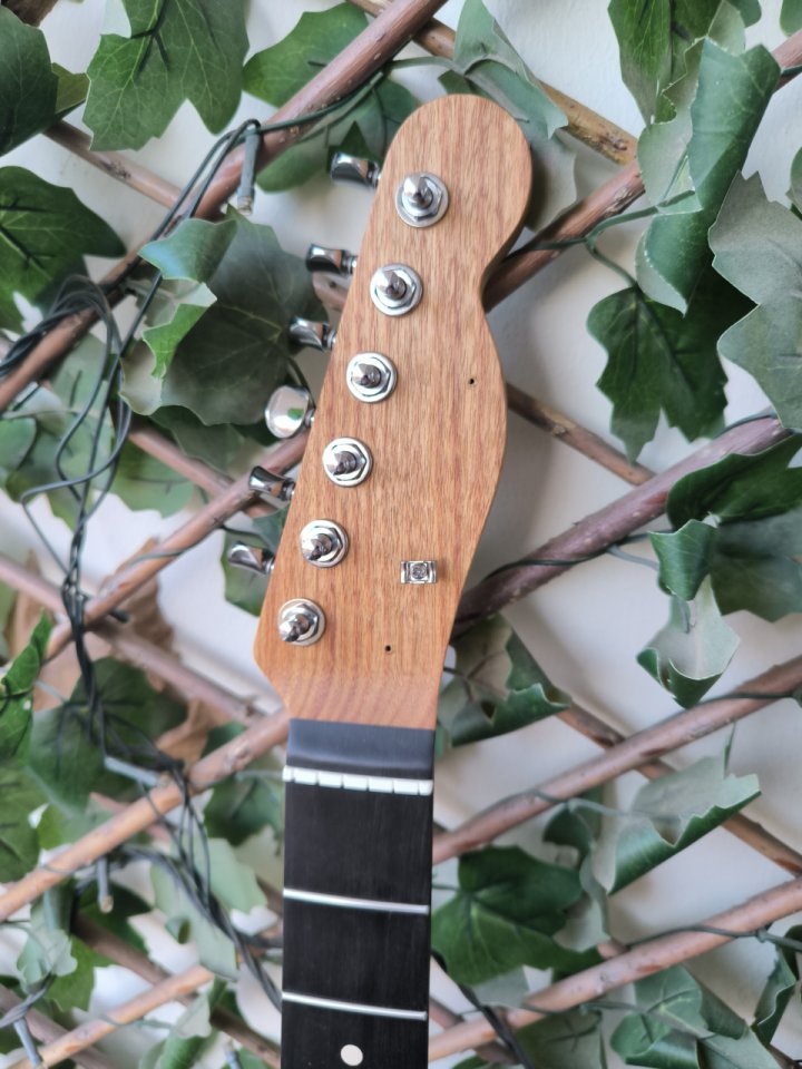 Mástil Warmoth telecaster 24.75" Canary/ebony ¡Envío incluido!