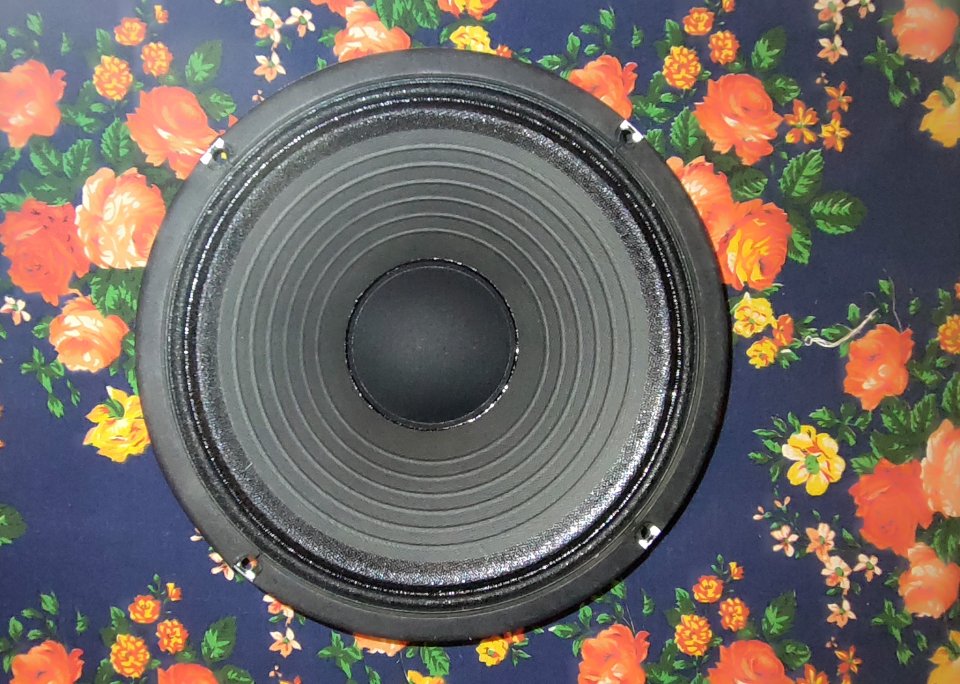 2x Altavoz Celestion Tube 10 30w 8 ohm de segunda mano · Foto 2 de 4 · Salamanca · 55 €