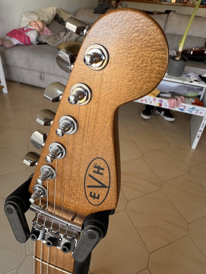 Evh frankie relic black