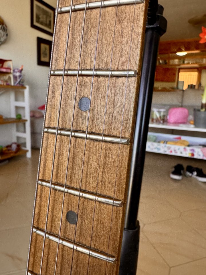 Evh frankie relic black