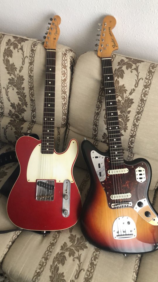 Fender Jaguar MIJ Pastillas Bull Skull