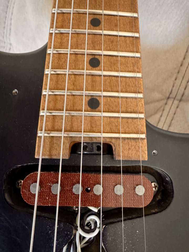 Evh frankie relic black