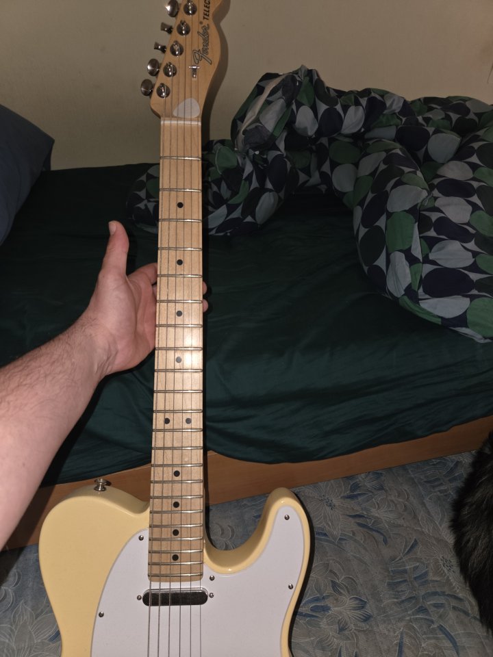 Fender American Performer Telecaster