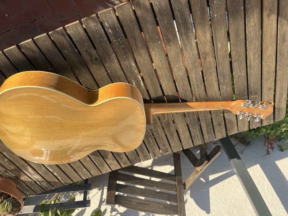 Hofner Senator 60's con pastilla d'armond