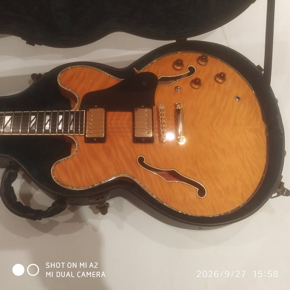 Tokai ES 180 (Tipo 335) de segunda mano · Foto 1 de 6 · Albacete · 2700 €