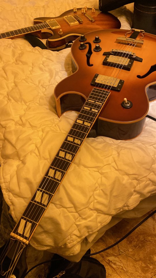 GRECO S55 copia es175 1978