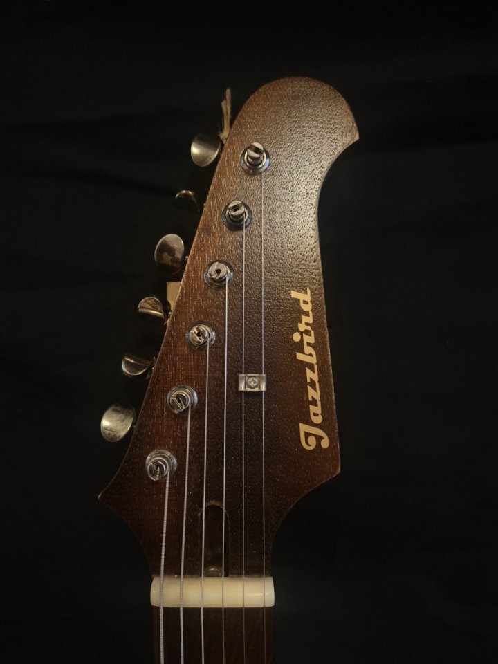 JAZZBIRD Fire Series Gold Paisley by Tetsuo!. de segunda mano · Foto 7 de 7 · Gipuzkoa · 1590 €