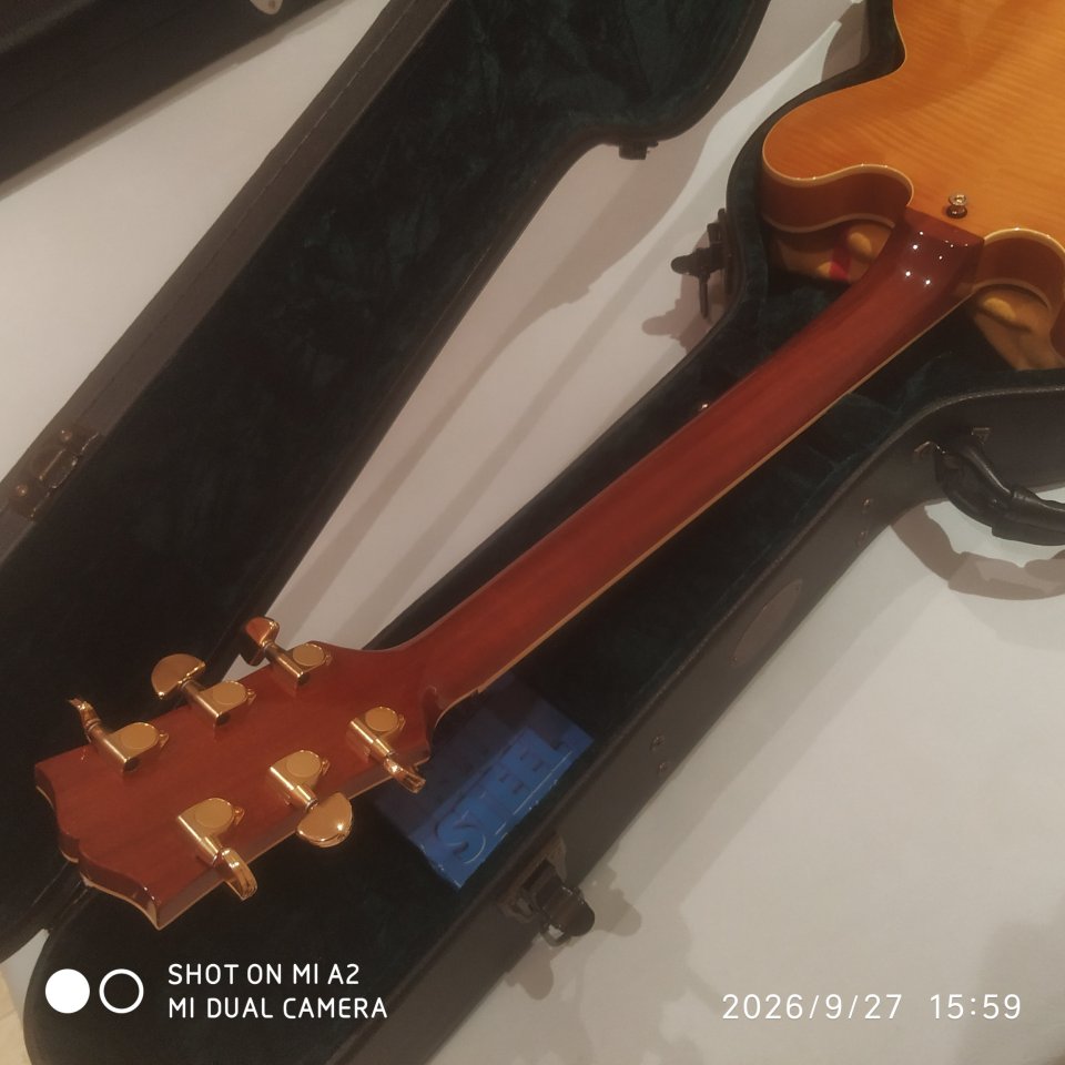 Tokai ES 180 (Tipo 335) de segunda mano · Foto 4 de 6 · Albacete · 2700 €