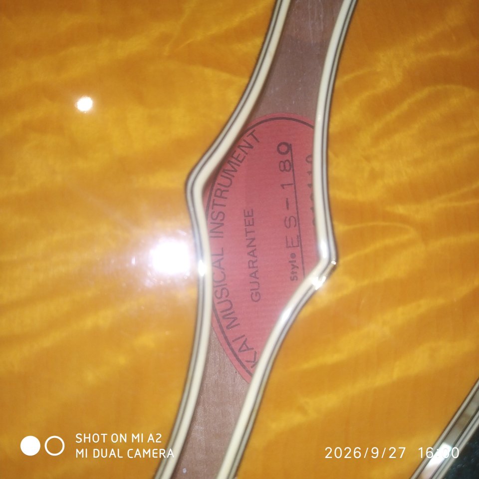 Tokai ES 180 (Tipo 335) de segunda mano · Foto 5 de 6 · Albacete · 2700 €