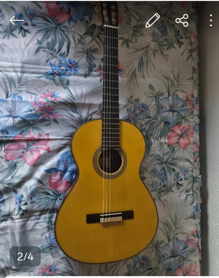 Guitarra clásica de concierto del luthier Ángel de Benitoo de segunda mano · Foto 1 de 4 · Albacete · 5500 €