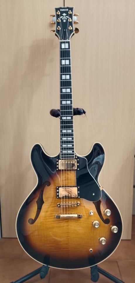 Sigo buscando una buena SG!!!