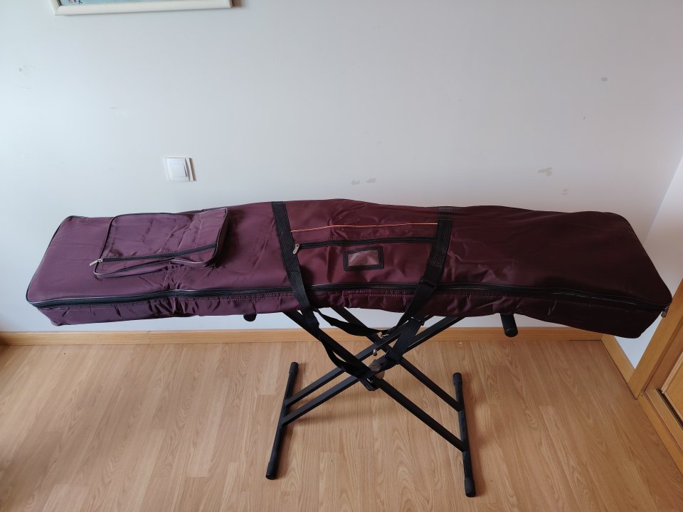 Guzheng o citarra china. de segunda mano · Foto 10 de 10 · Madrid · 250 €
