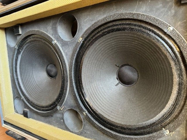 Pantalla 2x12 Custom Audio Electronics con Flight Case