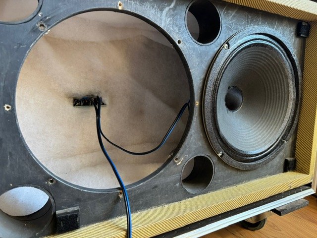 Pantalla 2x12 Custom Audio Electronics con Flight Case