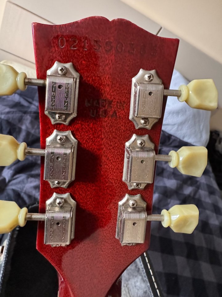 Gibson Les Paul Standard Premium Plus AAA