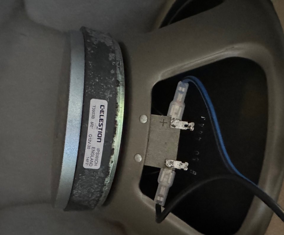 Pantalla 2x12 Custom Audio Electronics con Flight Case