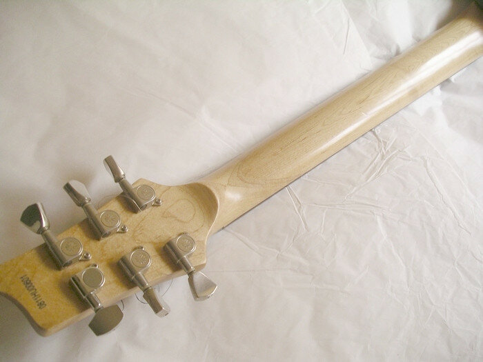 Lag Roxane 100 Standard + apantallada + funda