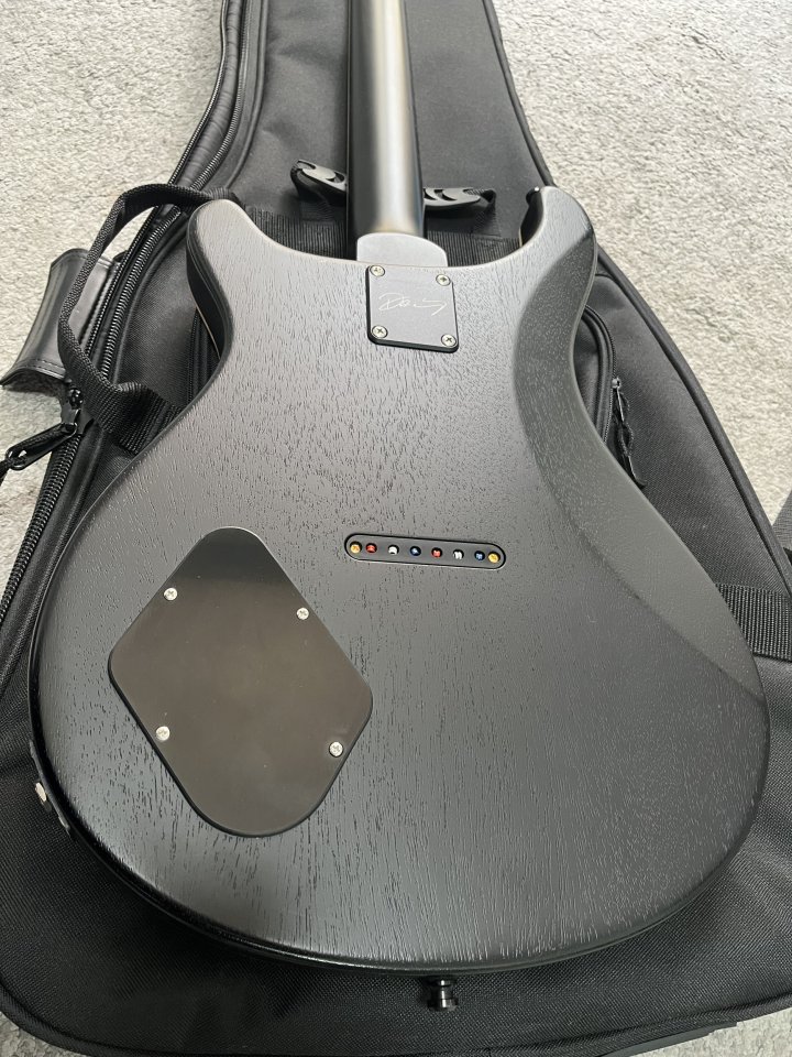 Prs ce DW hardtail limited edition Dustie Waring BTBM USA de segunda mano · Foto 8 de 9 · Valencia · 2800 €