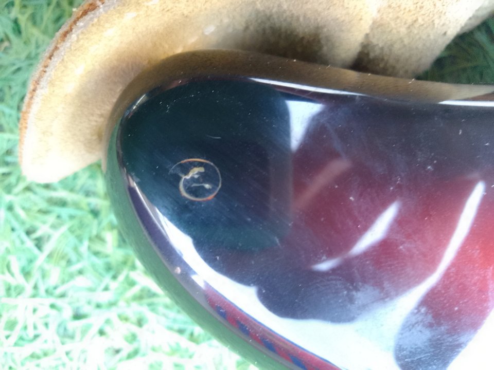 Fender Stratocaster California Series