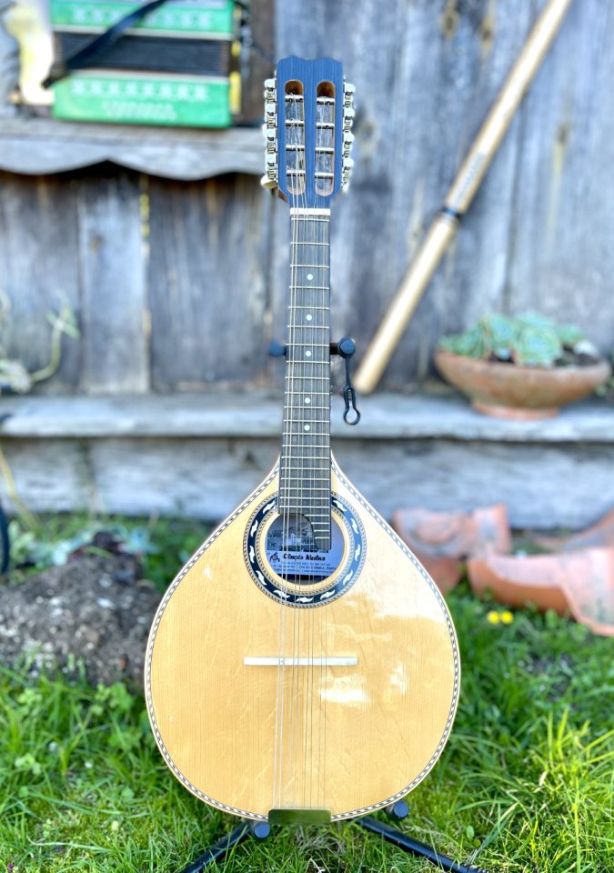 Vendo mandolina artesana