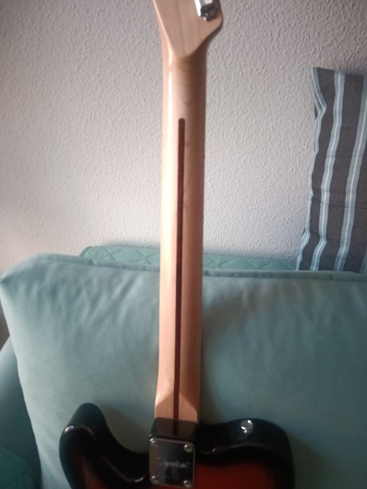 Squier Paranormal Cabronita Thinline de segunda mano · Foto 5 de 10 · Madrid · 340 €