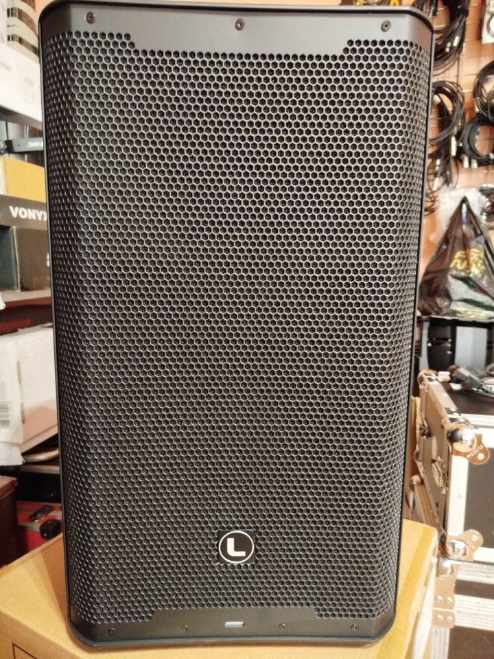 Cajas acústicas Lynx RX 12