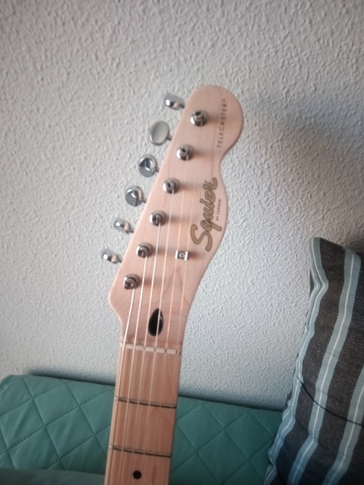 Squier Paranormal Cabronita Thinline de segunda mano · Foto 6 de 10 · Madrid · 340 €