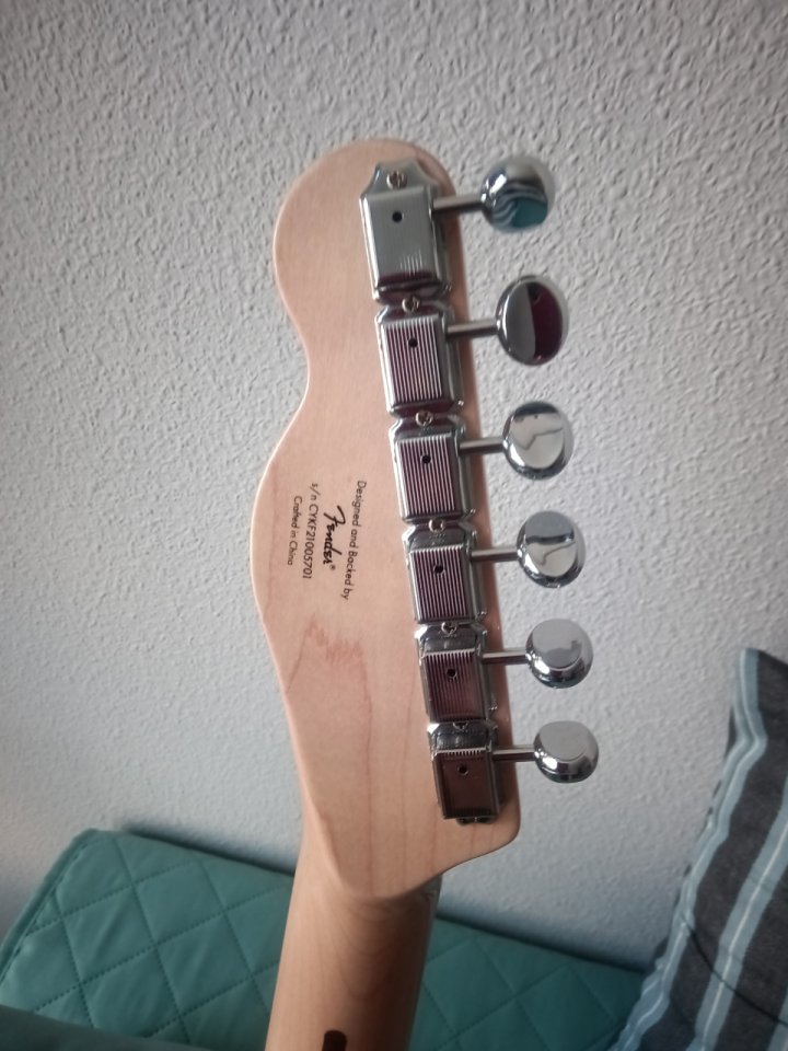 Squier Paranormal Cabronita Thinline de segunda mano · Foto 7 de 10 · Madrid · 340 €