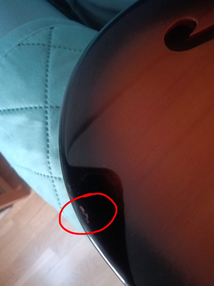 Squier Paranormal Cabronita Thinline de segunda mano · Foto 8 de 10 · Madrid · 340 €