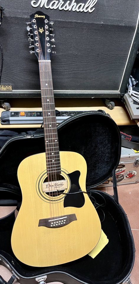 Ibanez acústica 12 cuerdas