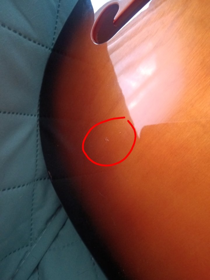 Squier Paranormal Cabronita Thinline de segunda mano · Foto 9 de 10 · Madrid · 340 €