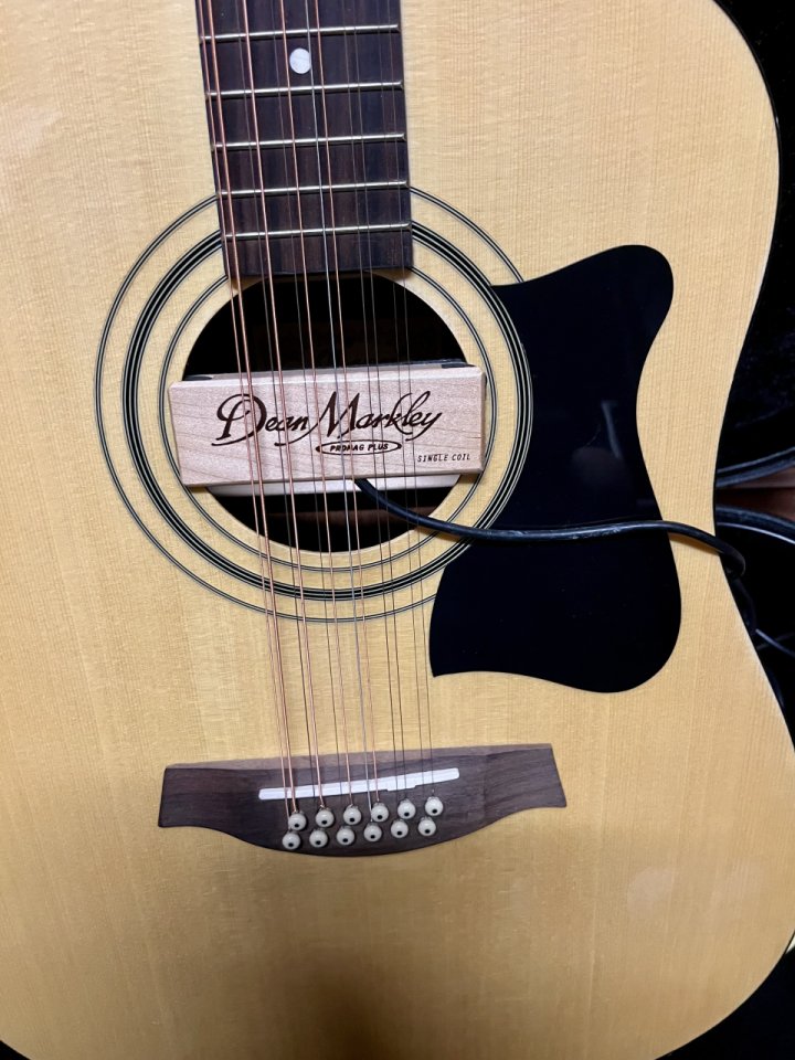 Ibanez acústica 12 cuerdas