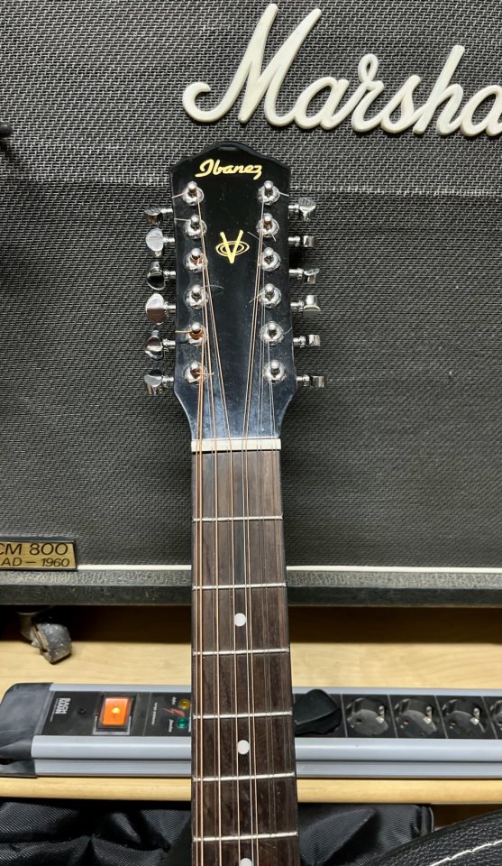 Ibanez acústica 12 cuerdas