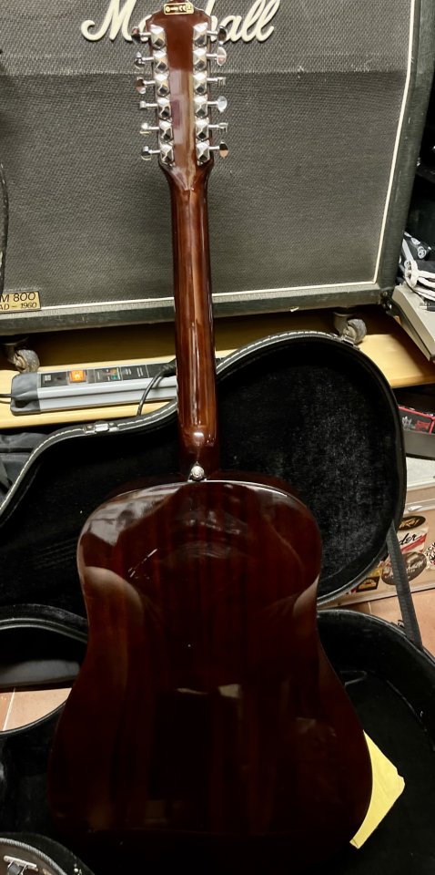 Ibanez acústica 12 cuerdas