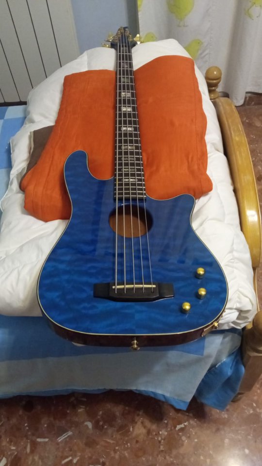 Carvin Ac50 electroacústico de segunda mano · Foto 2 de 7 · Valencia · 900 €