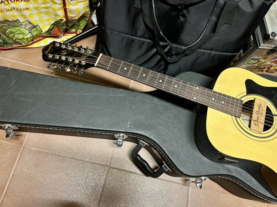 Ibanez acústica 12 cuerdas