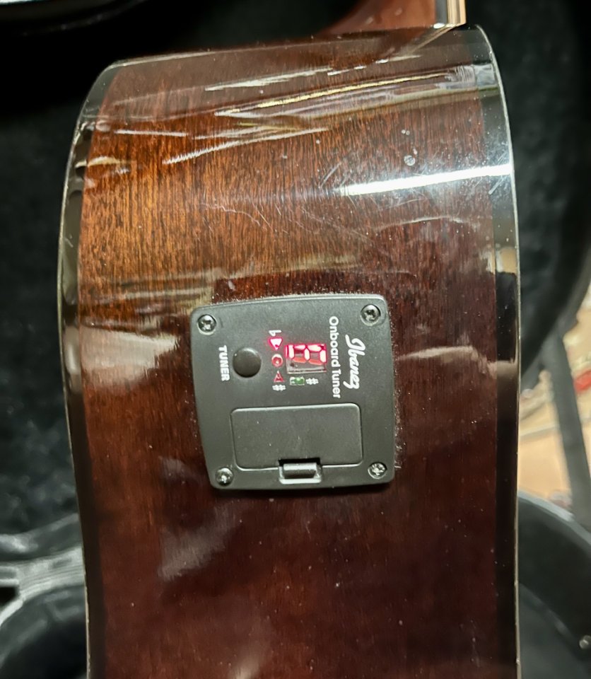 Ibanez acústica 12 cuerdas