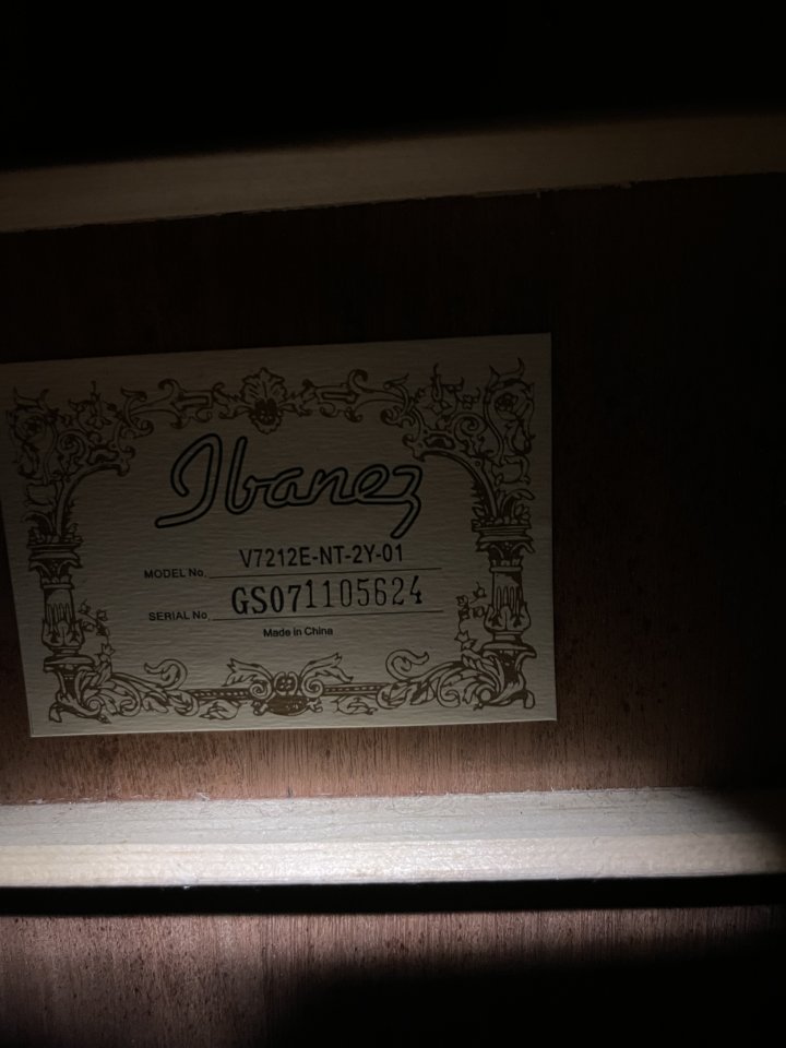 Ibanez acústica 12 cuerdas