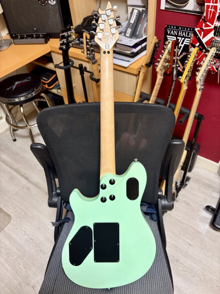 Wolfgang EVH special surf green impecable de segunda mano · Foto 4 de 9 · Araba