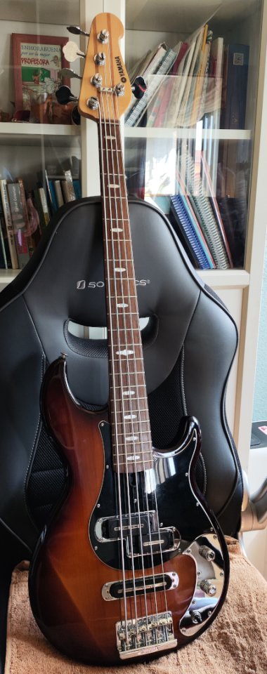 Yamaha BB1025X con estuche de segunda mano · Foto 1 de 6 · Madrid · 1000 €