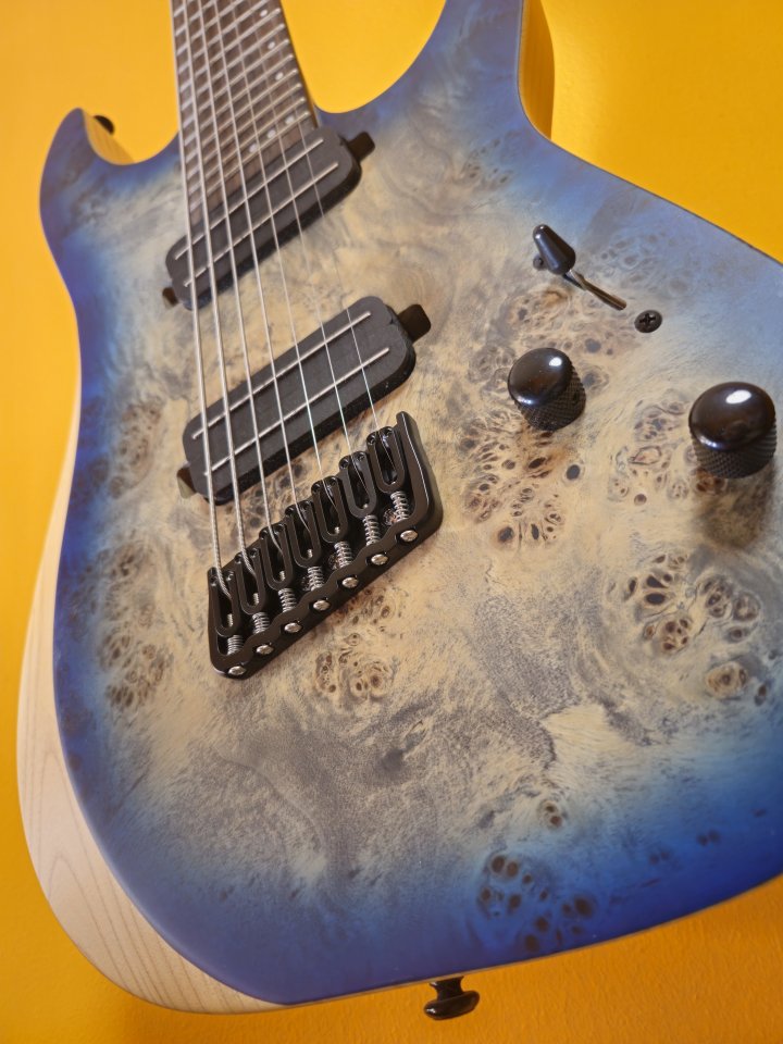 Schecter Reaper 7 SSKYB Multiescala