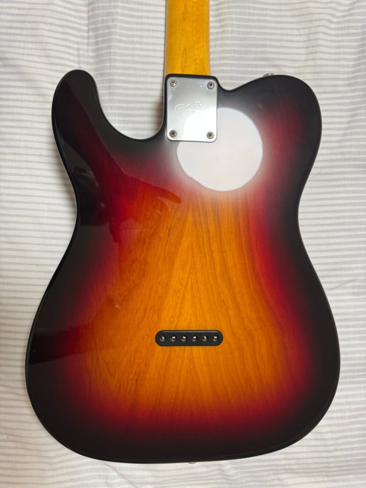G&L ASAT Classic Bluesboy Semi-Hollow 2006 made in USA de segunda mano · Foto 7 de 10 · Murcia