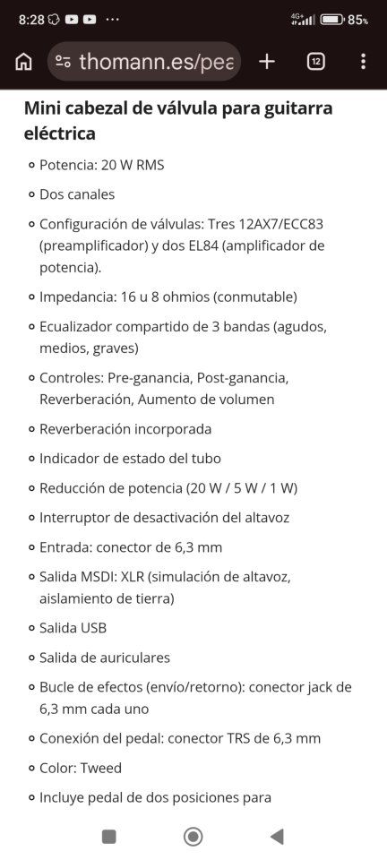 Cabezal Peavey Classic 20 MH a válvulas