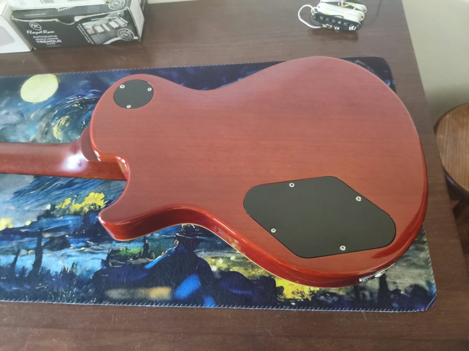 PRS SE Zach Myers Semi-Hollow (2014–2017) Gotoh Locking + Upgrade Pastillas de segunda mano · Foto 5 de 5 · Pontevedra · 720 €