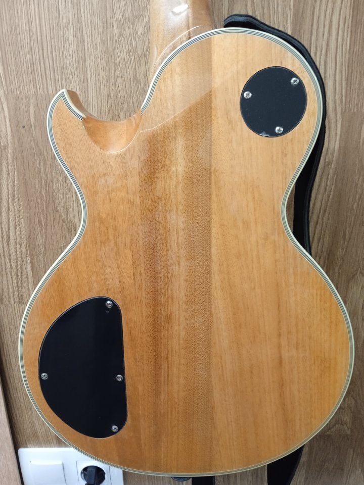 Schecter Solo II Custom