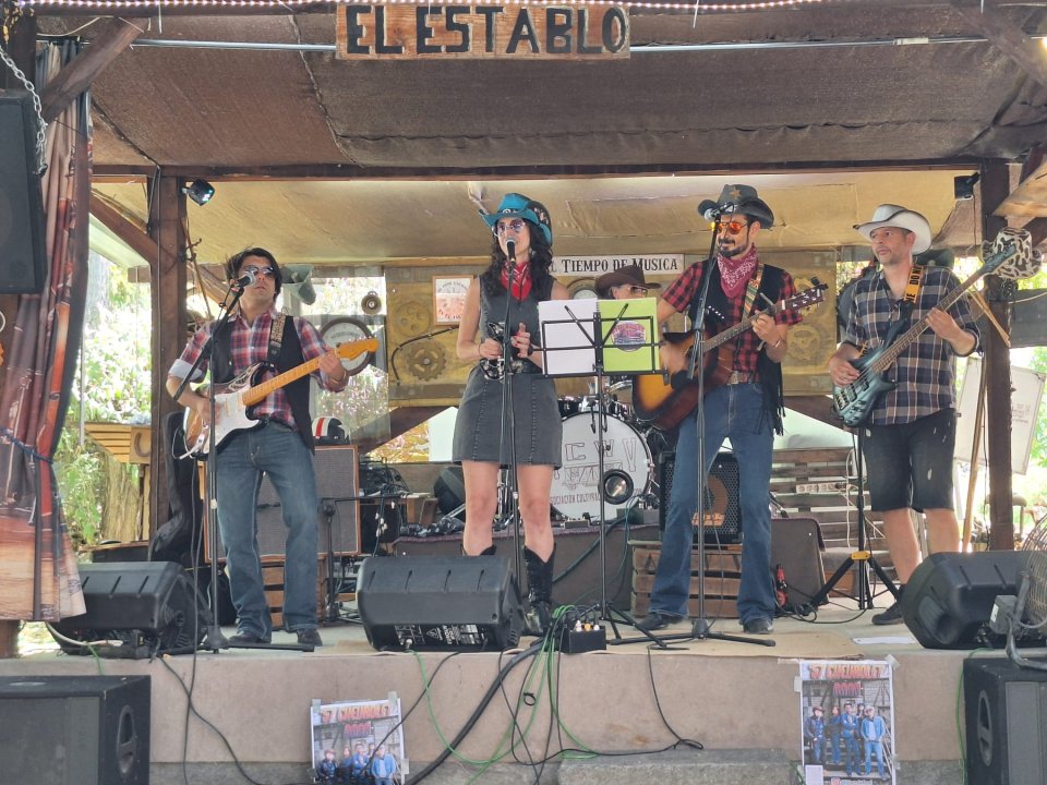 Grupo COUNTRY busca guitarra eléctrica solista+coros de segunda mano · Madrid