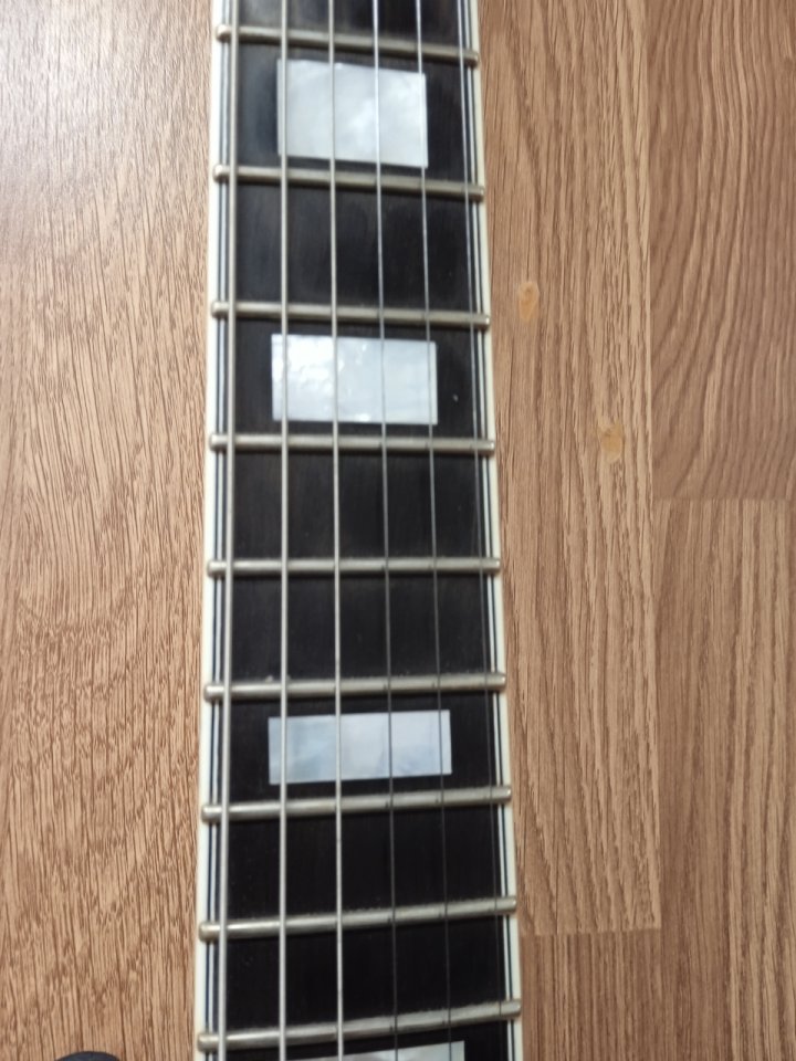 Schecter Solo II Custom