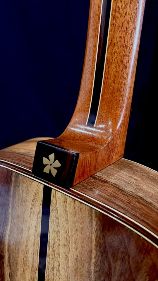 D.Monti Guitarras 00-17 de segunda mano · Foto 6 de 9 · Barcelona · 800 €