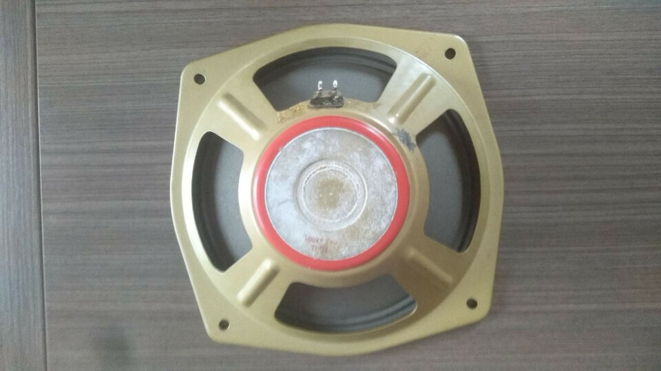 Altavoz HOHNER Orgaphon  de 16 ohm VINTAGE 12'' TENGO 2