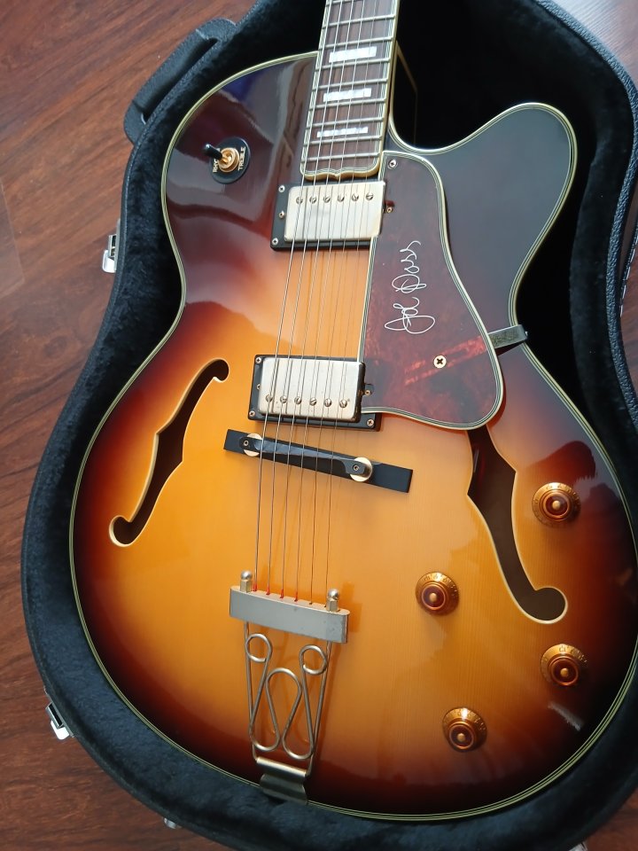 Epiphone Emperor II Joe Pass Corea de segunda mano · Foto 3 de 7 · Badajoz · 600 €